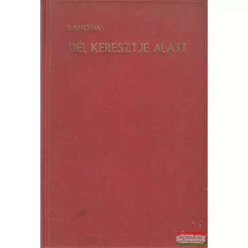 Dél Keresztje alatt