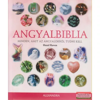 Hazel Raven - Angyalbiblia