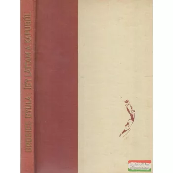 Így láttam a kapuból