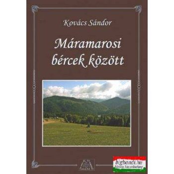 Máramarosi bércek között