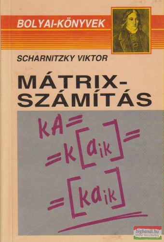 Scharnitzky Viktor - Mátrixszámítás