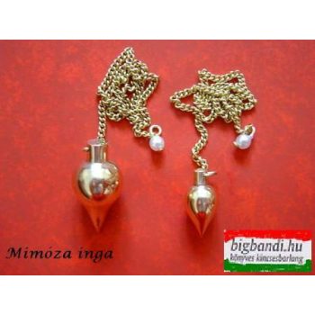 Mimóza inga - kicsi