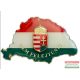 Kitűző - Nagy-Magyarország, koronás címerrel
