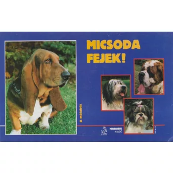 Micsoda fejek!