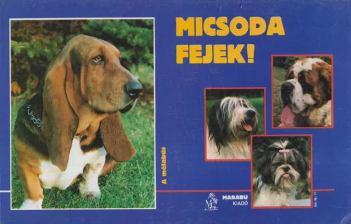 Micsoda fejek!