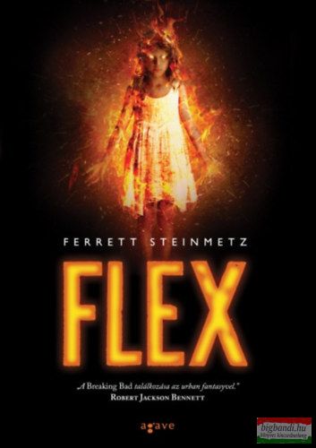 Ferrett Steinmetz - Flex