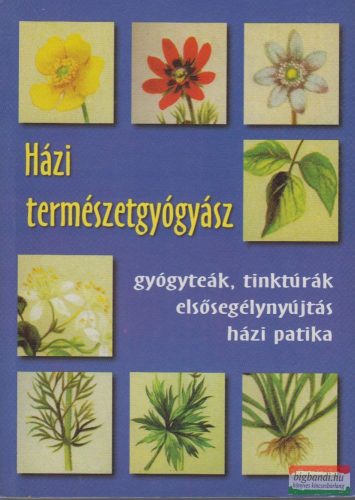 Házi természetgyógyász - Gyógyteák, tinktúrák, elsősegélynyújtás, házi patika 