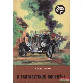 Nemere István - A fantasztikus nagynéni