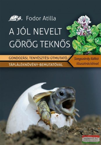 Fodor Attila - A jól nevelt görög teknős