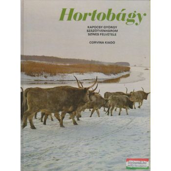 Kapocsy György - Hortobágy