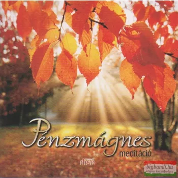 Pénzmágnes meditáció CD 