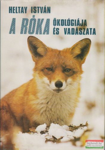 A róka ökológiája és vadászata