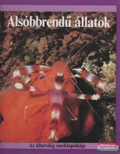 John Stidworthy - Alsóbbrendű állatok