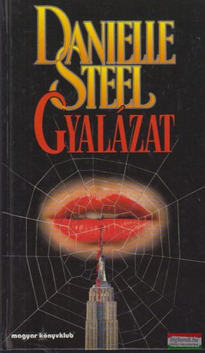 Danielle Steel - Gyalázat