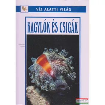 Giorgio Gabbi - Kagylók és csigák