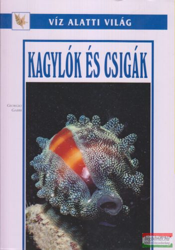 Giorgio Gabbi - Kagylók és csigák