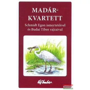 Madár-kvartett kártya