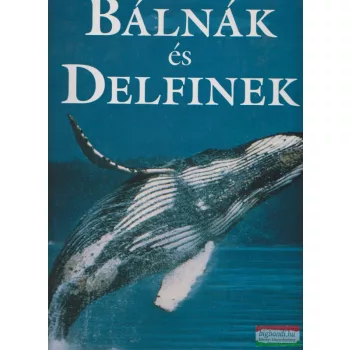 Bálnák és delfinek