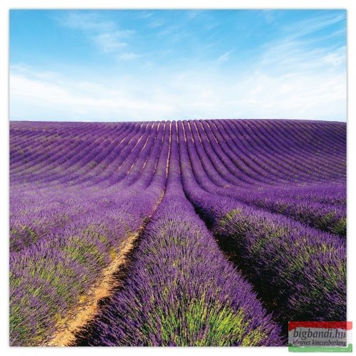 Provence falinaptár 2023 - illatosított