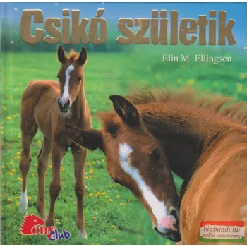Elin M. Ellingsen - Csikó születik