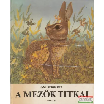 Jana Stroblova - A mezők titkai