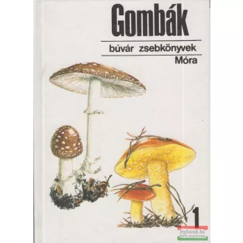 Kalmár Zoltán, Babos Lórántné - Gombák 1