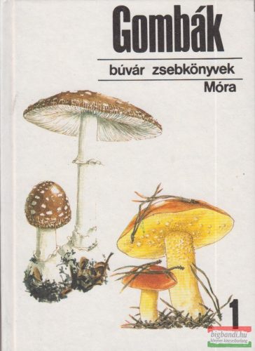 Kalmár Zoltán, Babos Lórántné - Gombák 1