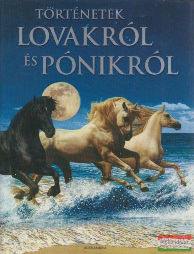 Györök Edina szerk. - Történetek lovakról és pónikról 