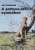 Joy Adamson - A pettyes szfinx nyomában