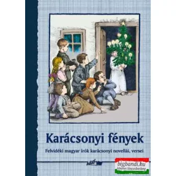 Karácsonyi fények