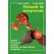 Velich István, V. Nagy Enikő - Nálunk is megterem
