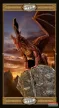 Tarot Draconis