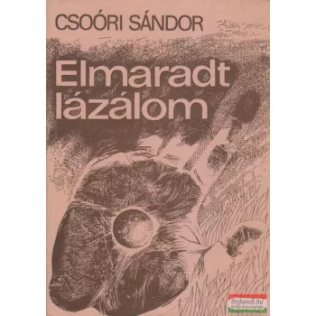 Csoóri Sándor - Elmaradt lázálom