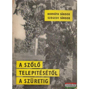 A szőlő telepítésétől a szüretig