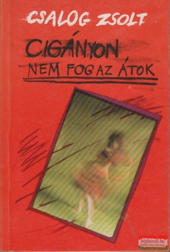 Csalog Zsolt - Cigányon nem fog az átok