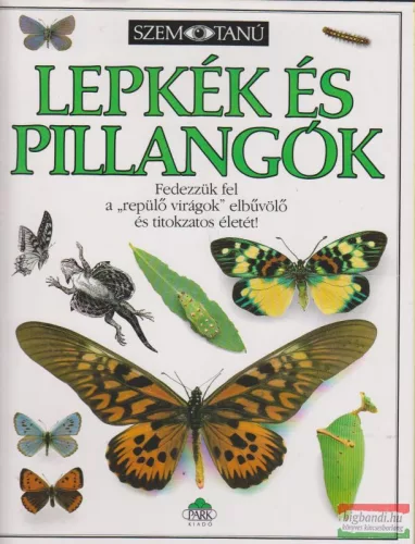 Paul Whalley - Lepkék és pillangók