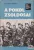 Aszódy János - A pokol zsoldosai