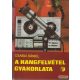 Csabai Dániel - A hangfelvétel gyakorlata