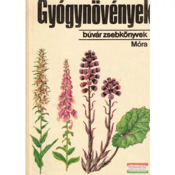 Dr. Isépy István, F. Gyurkó Gizella - Gyógynövények 