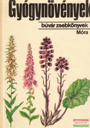 Dr. Isépy István, F. Gyurkó Gizella - Gyógynövények 