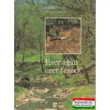 Schmidt Egon-Bécsy László - Ezer ágán ezer fészek