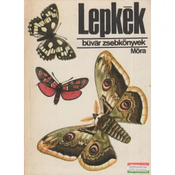 Kalmár Zoltán - Lepkék 
