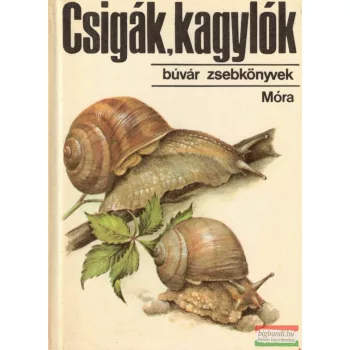 Dr. Krolopp Endre-Lexa Klára - Csigák, kagylók 
