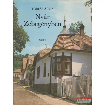 Tóbiás Áron - Nyár Zebegényben