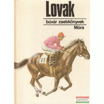 Szidnainé Dr. Csete Ágnes - Lovak 