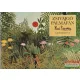Zsivajgó pálmafán - Henri Rousseau képeskönyve