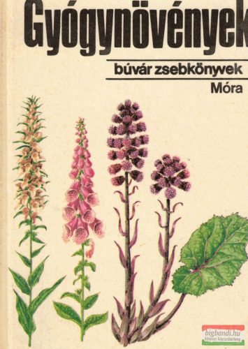 Dr. Isépy István, F. Gyurkó Gizella - Gyógynövények 