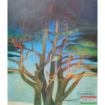 Németh Lajos szerk. - Csontváry