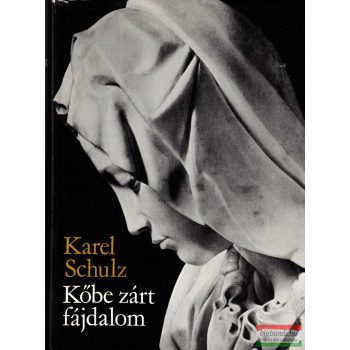   Karel Schulz - Kőbe zárt fájdalom - Michelangelo Buonarroti életregénye 