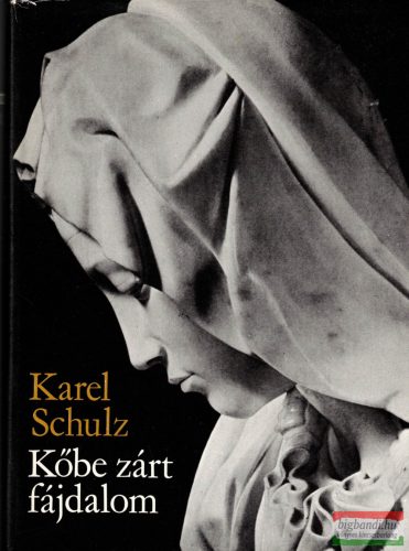Karel Schulz - Kőbe zárt fájdalom - Michelangelo Buonarroti életregénye 